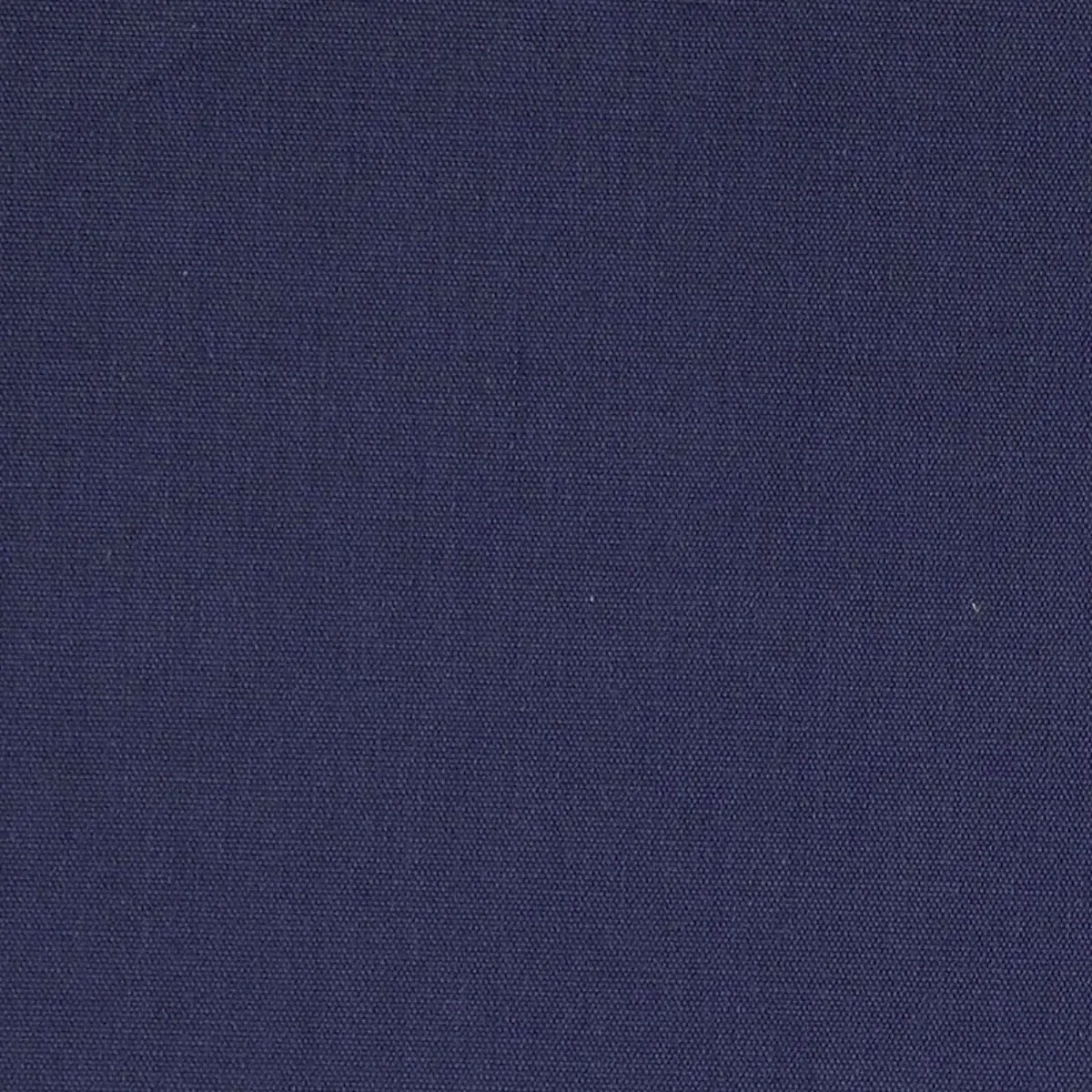 ELLIOTT BRUSHED COTTON_ IRIS