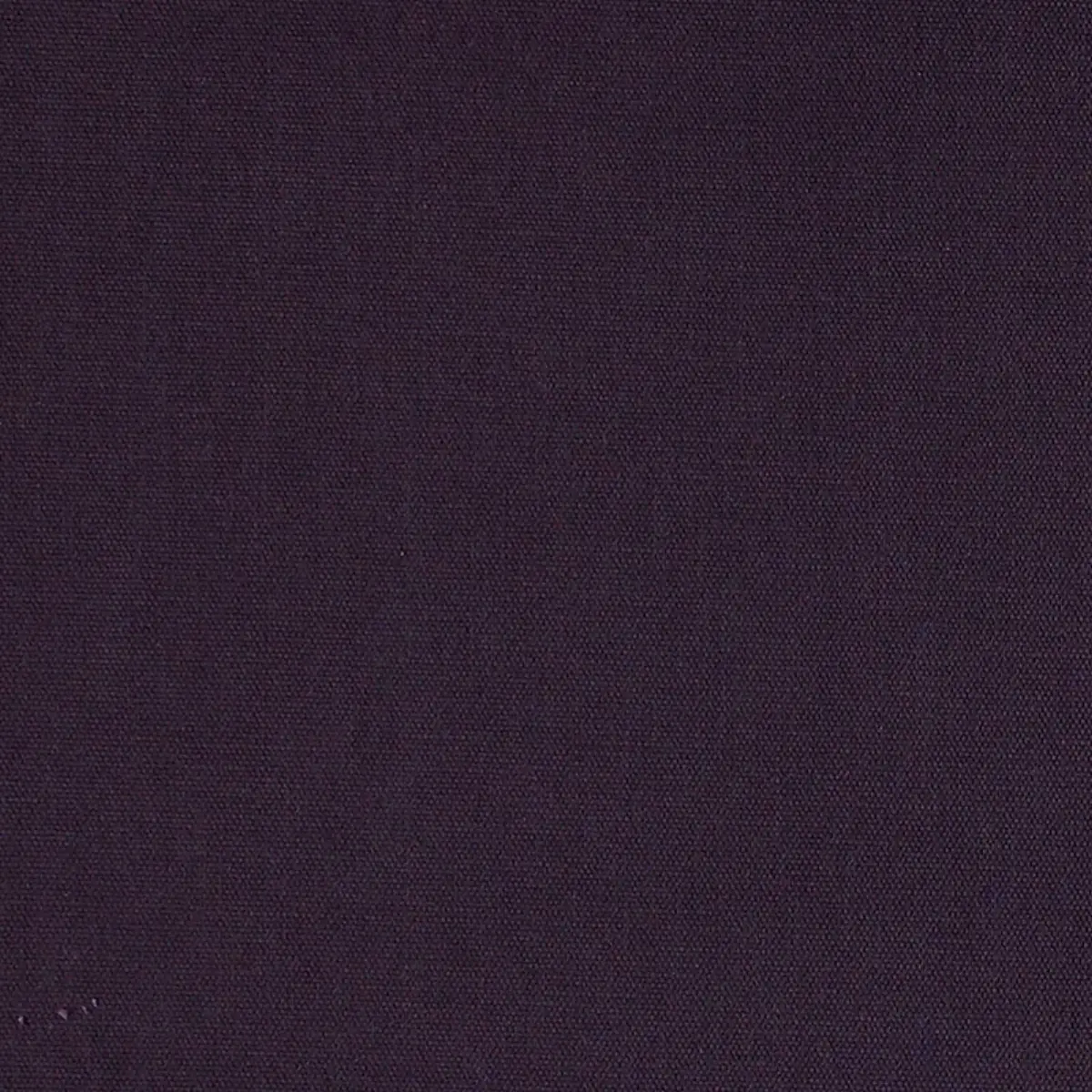 ELLIOTT BRUSHED COTTON_ EGGPLANT