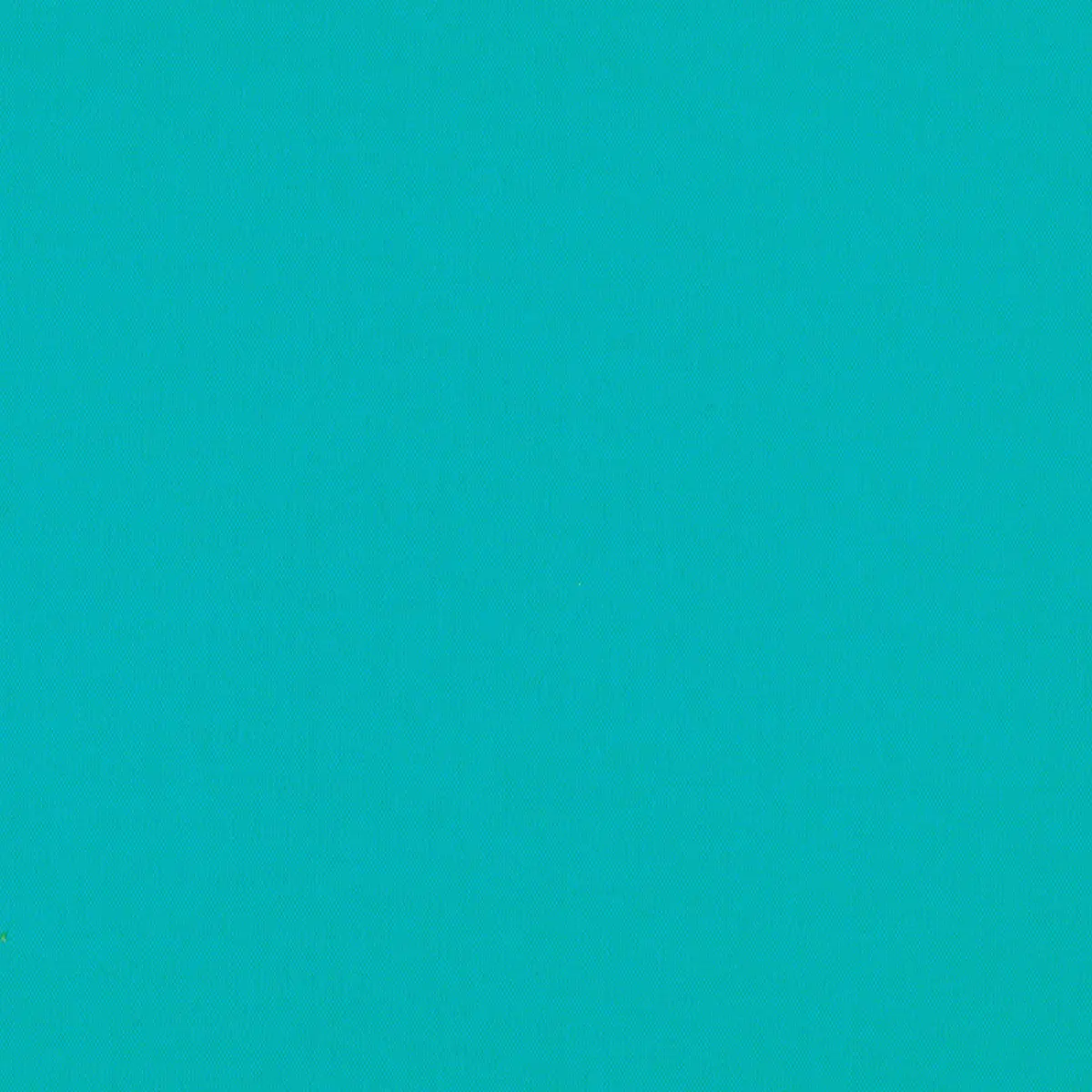 ELLIOTT BRUSHED COTTON_ TEAL