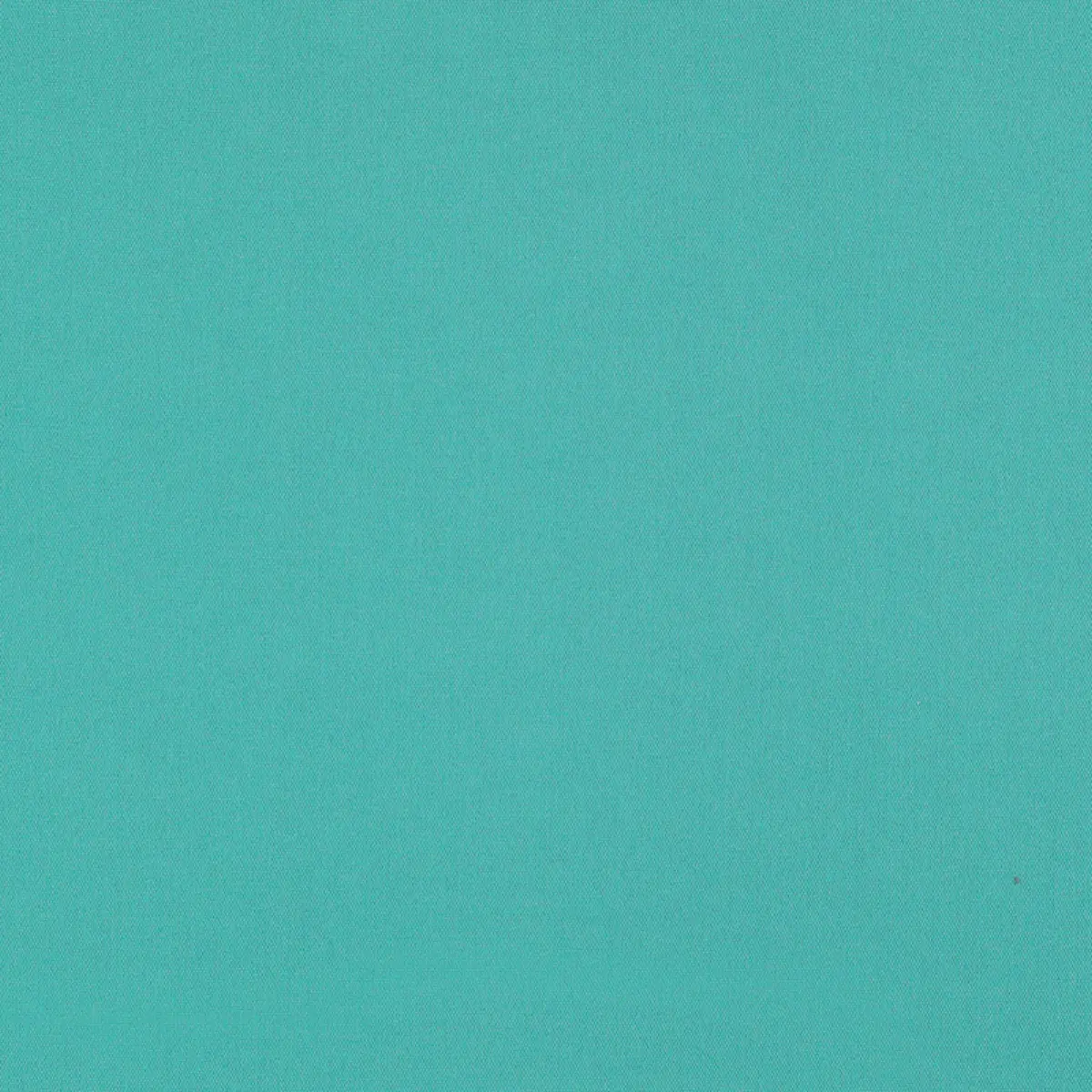 ELLIOTT BRUSHED COTTON_ AQUA