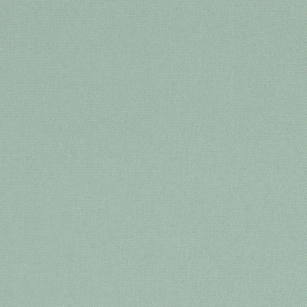 ELLIOTT BRUSHED COTTON_ PINE