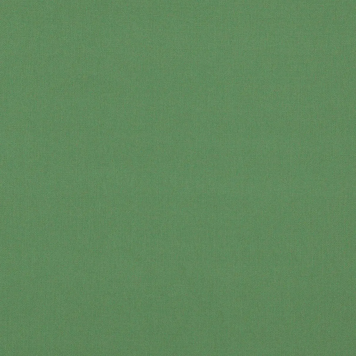 ELLIOTT BRUSHED COTTON_ PESTO