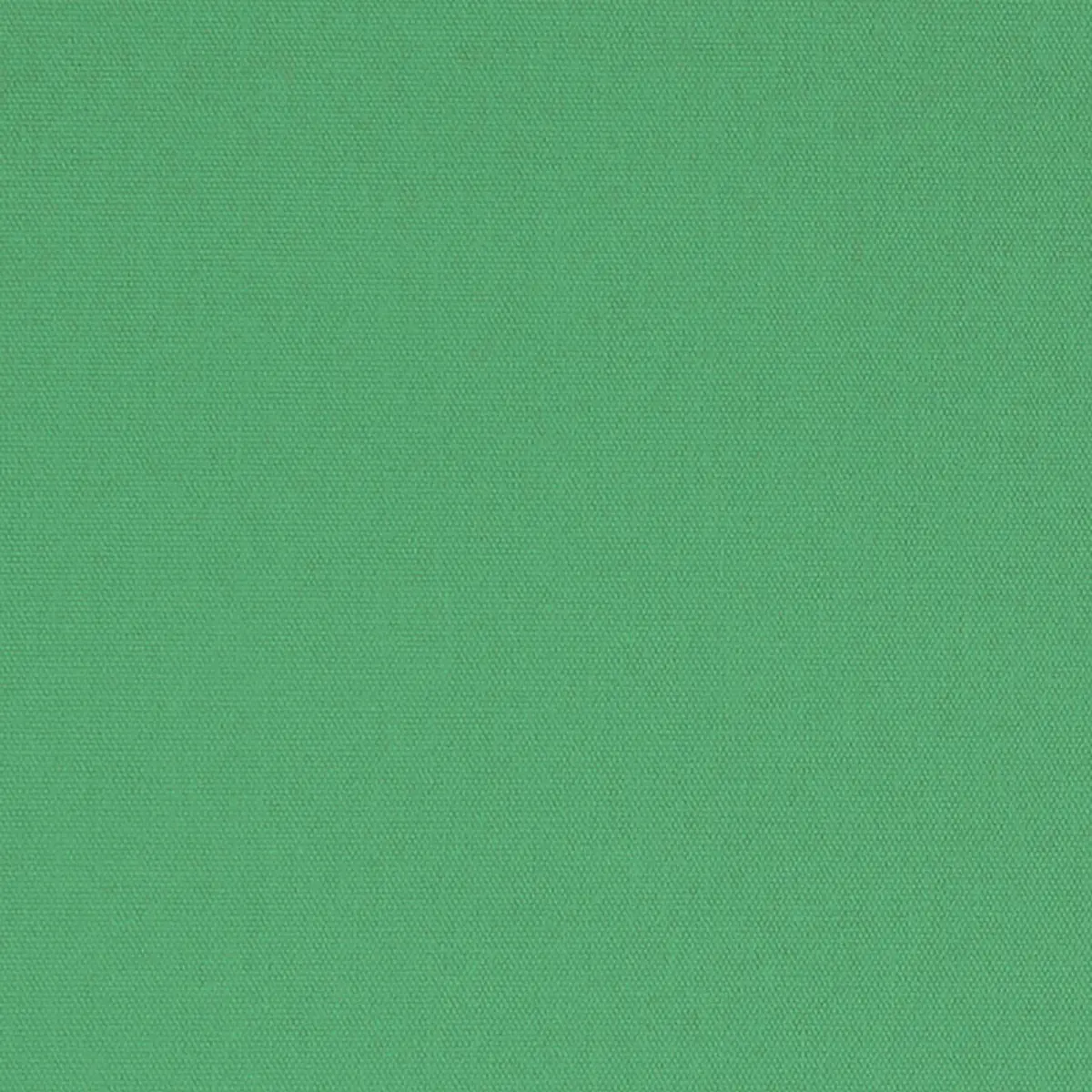 ELLIOTT BRUSHED COTTON_ LEAF