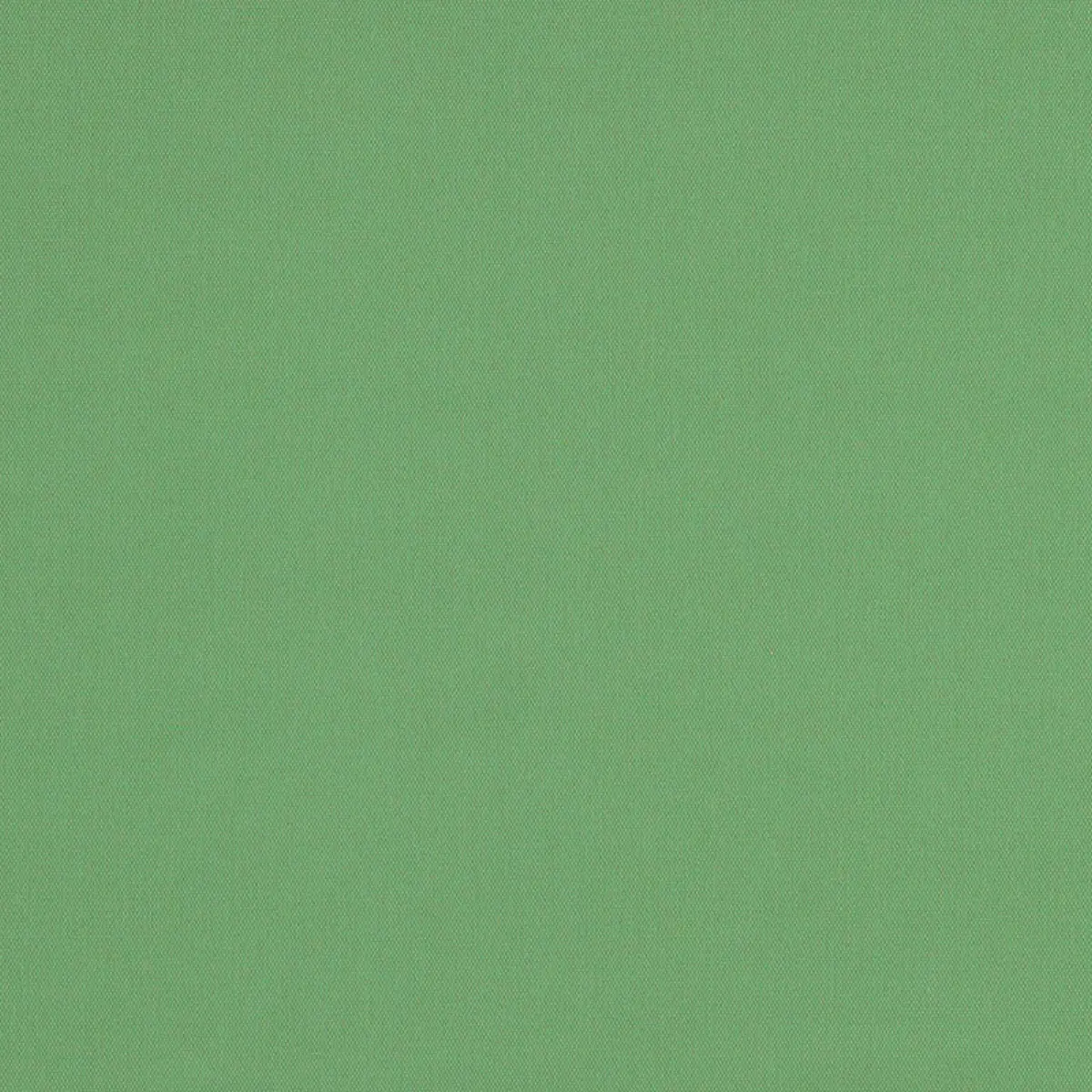 ELLIOTT BRUSHED COTTON_ BASIL