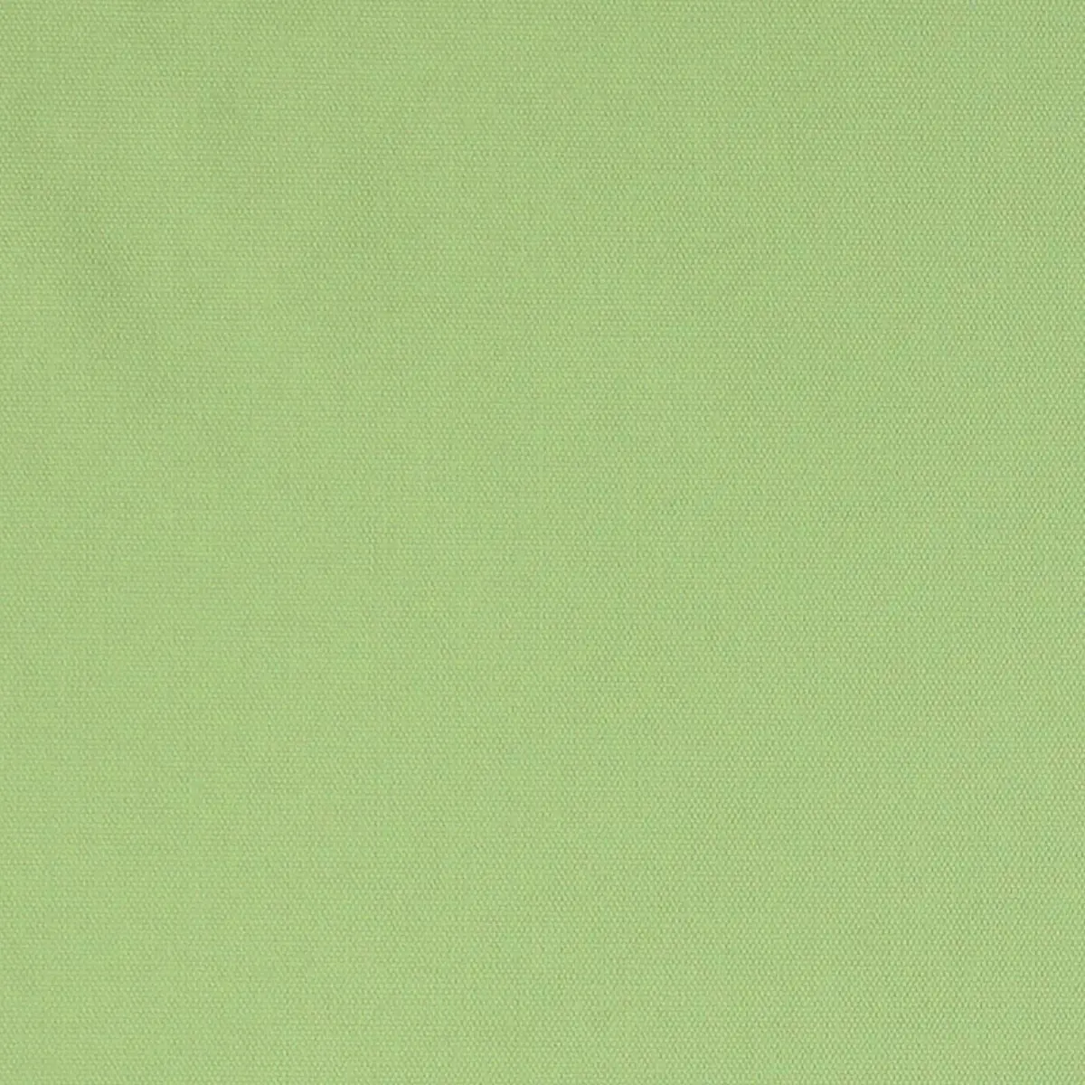 ELLIOTT BRUSHED COTTON_ LIME