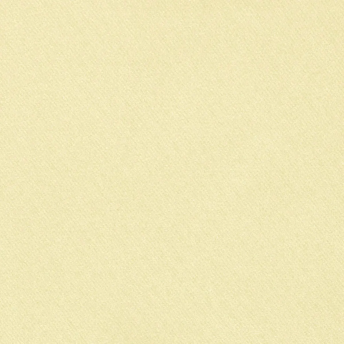 Blake Polished Cotton_ CHIFFON