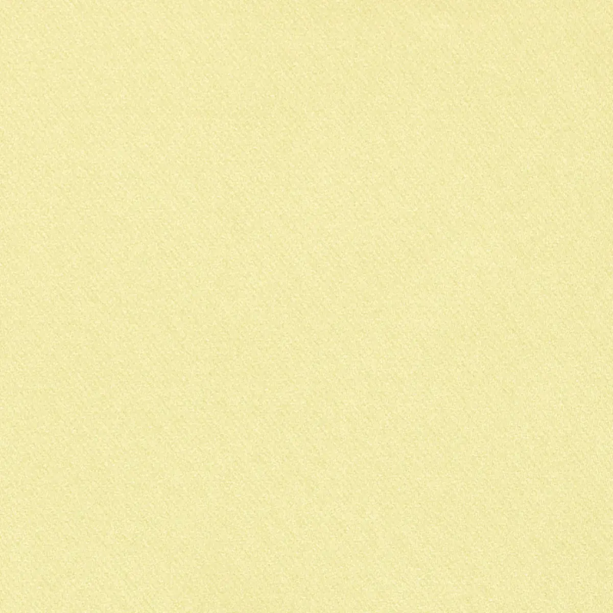 BLAKE POLISHED COTTON_ BUTTERCUP