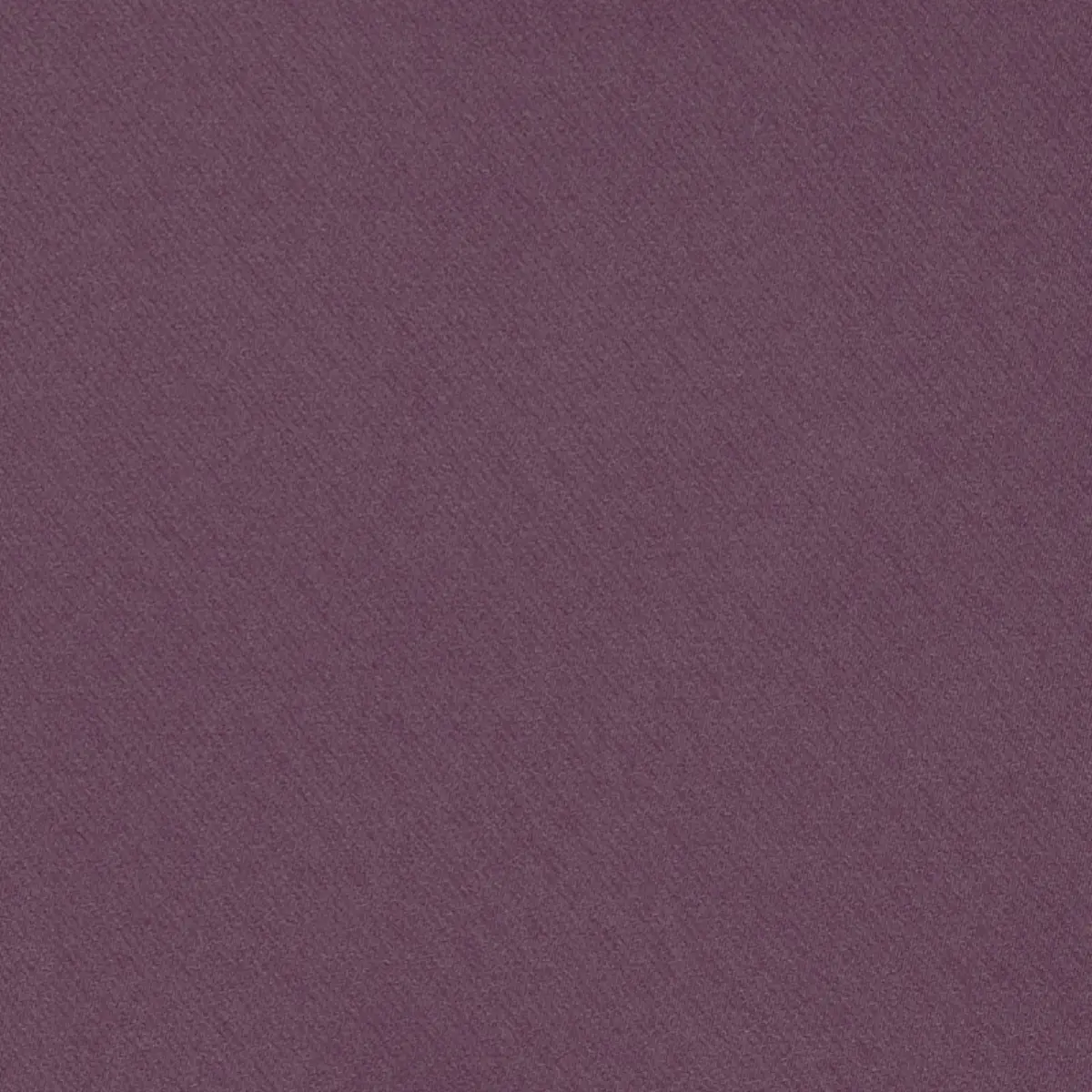 Blake Polished Cotton_ GRAPE