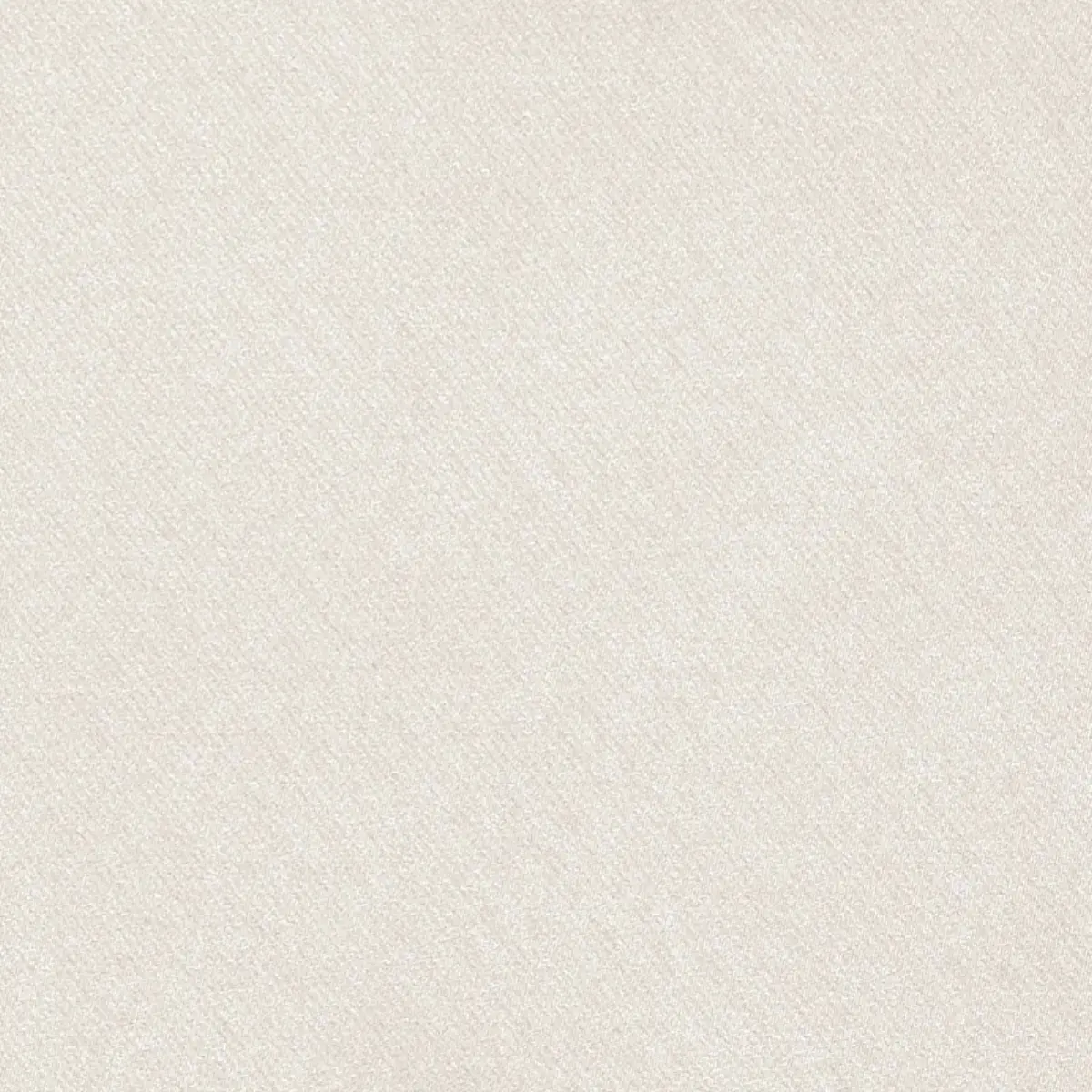Blake Polished Cotton_ ECRU