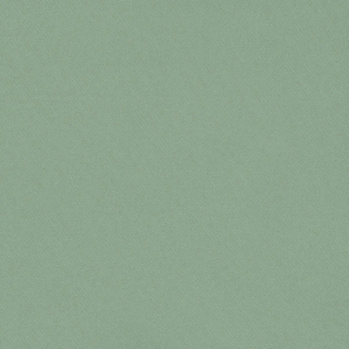 Blake Polished Cotton_ SAGE