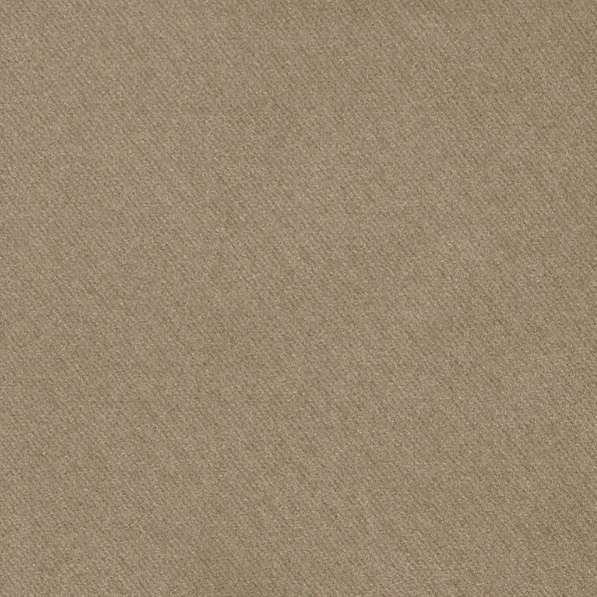 Blake Polished Cotton_ PRAIRIE