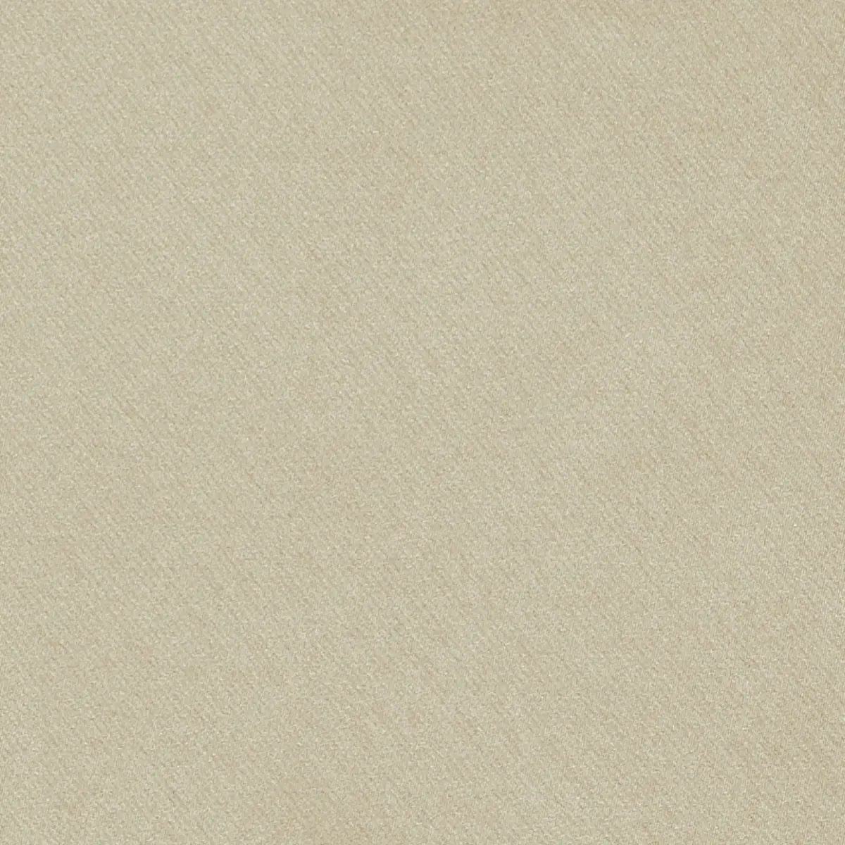 Blake Polished Cotton_ BARLEY