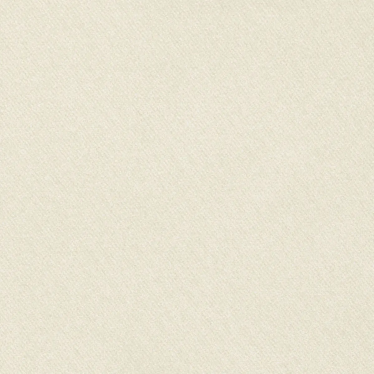 Blake Polished Cotton_ CHAMOIS
