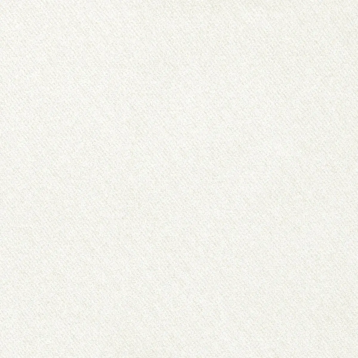 Blake Polished Cotton_ BUTTERMILK