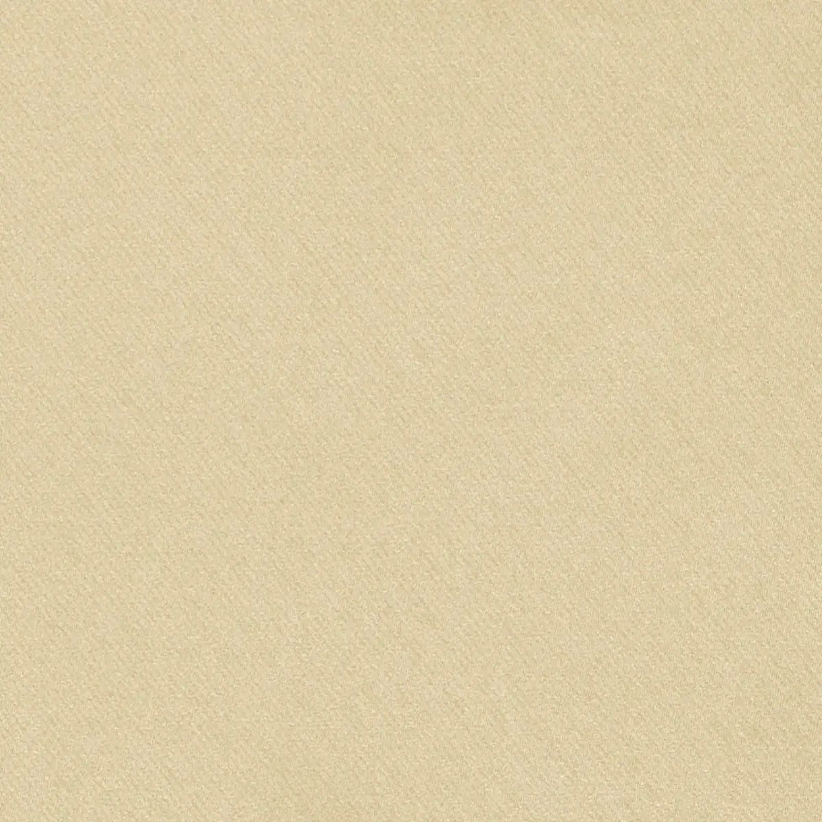 Blake Polished Cotton_ CARAMEL