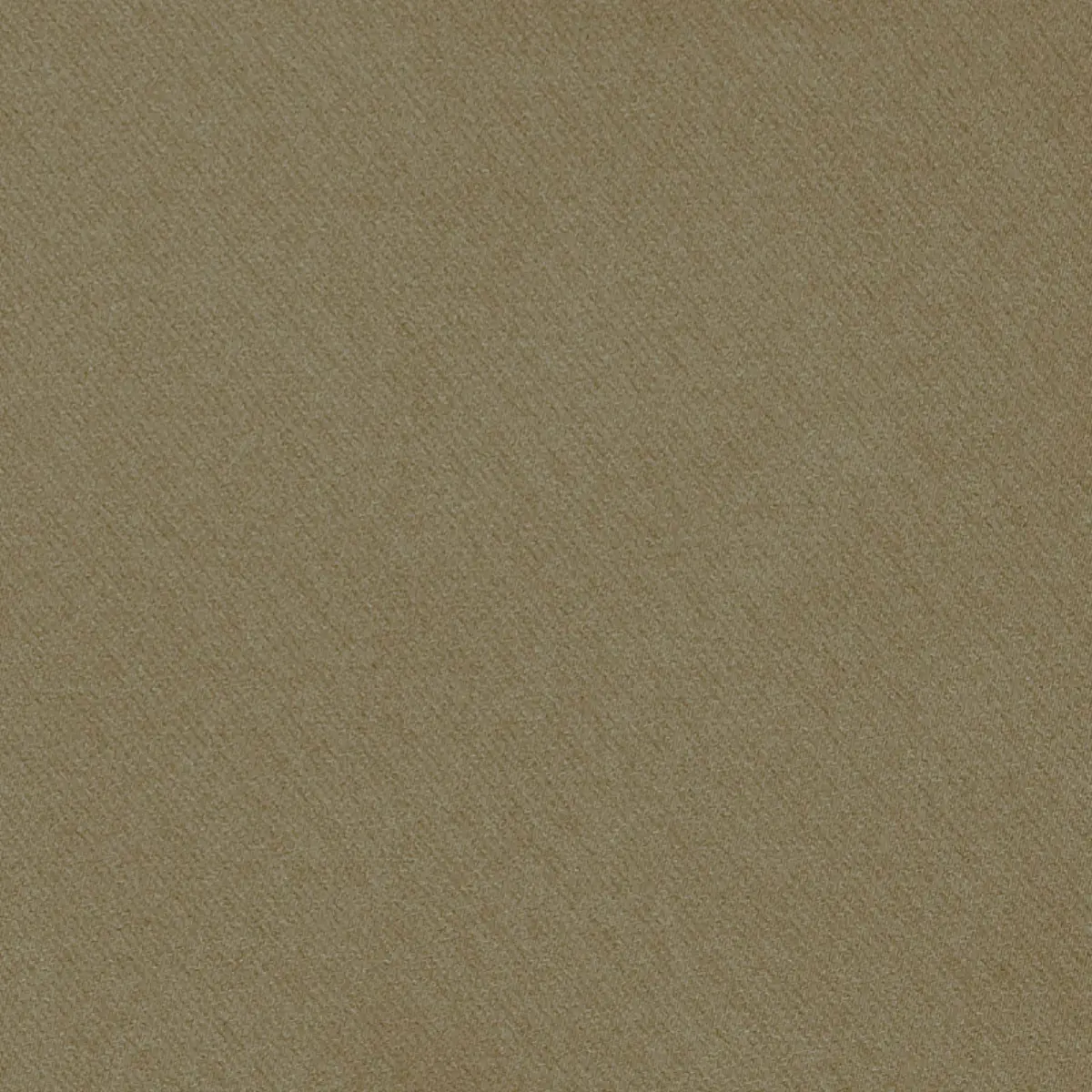 Blake Polished Cotton_ NUTMEG