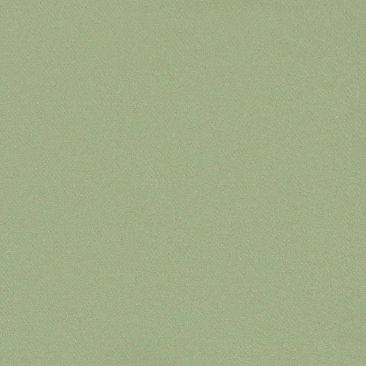 Blake Polished Cotton_ MOSS
