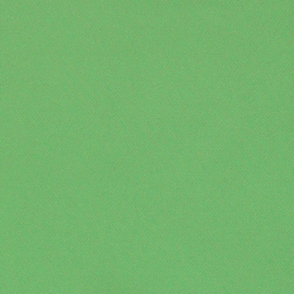 Blake Polished Cotton_ KIWI