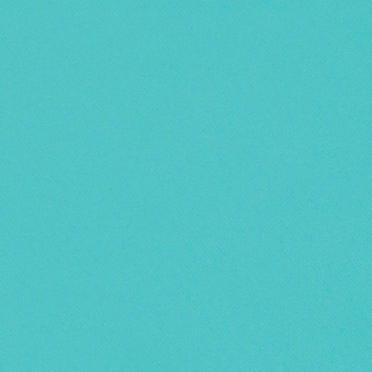 Blake Polished Cotton_ TURQUOISE