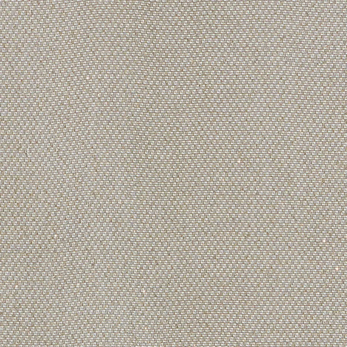 GIORGIO SHEER_ PLATINUM