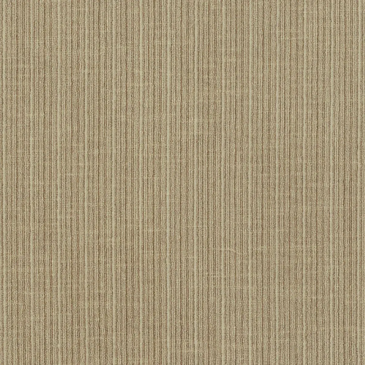ANTIQUE STRIE VELVET_ SPARROW