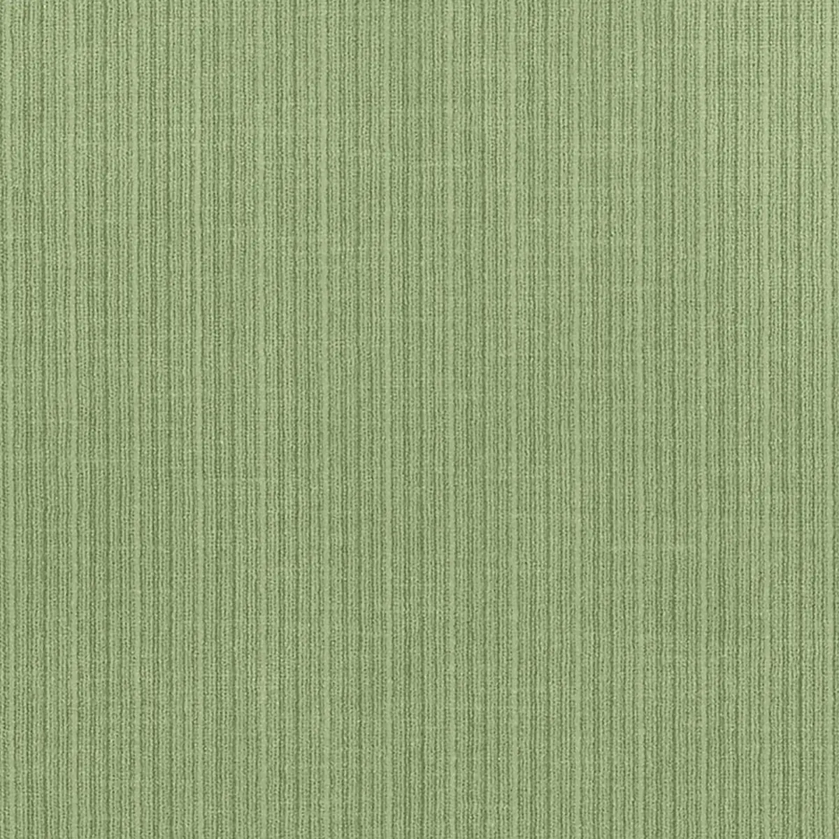 ANTIQUE STRIE VELVET_ ALOE