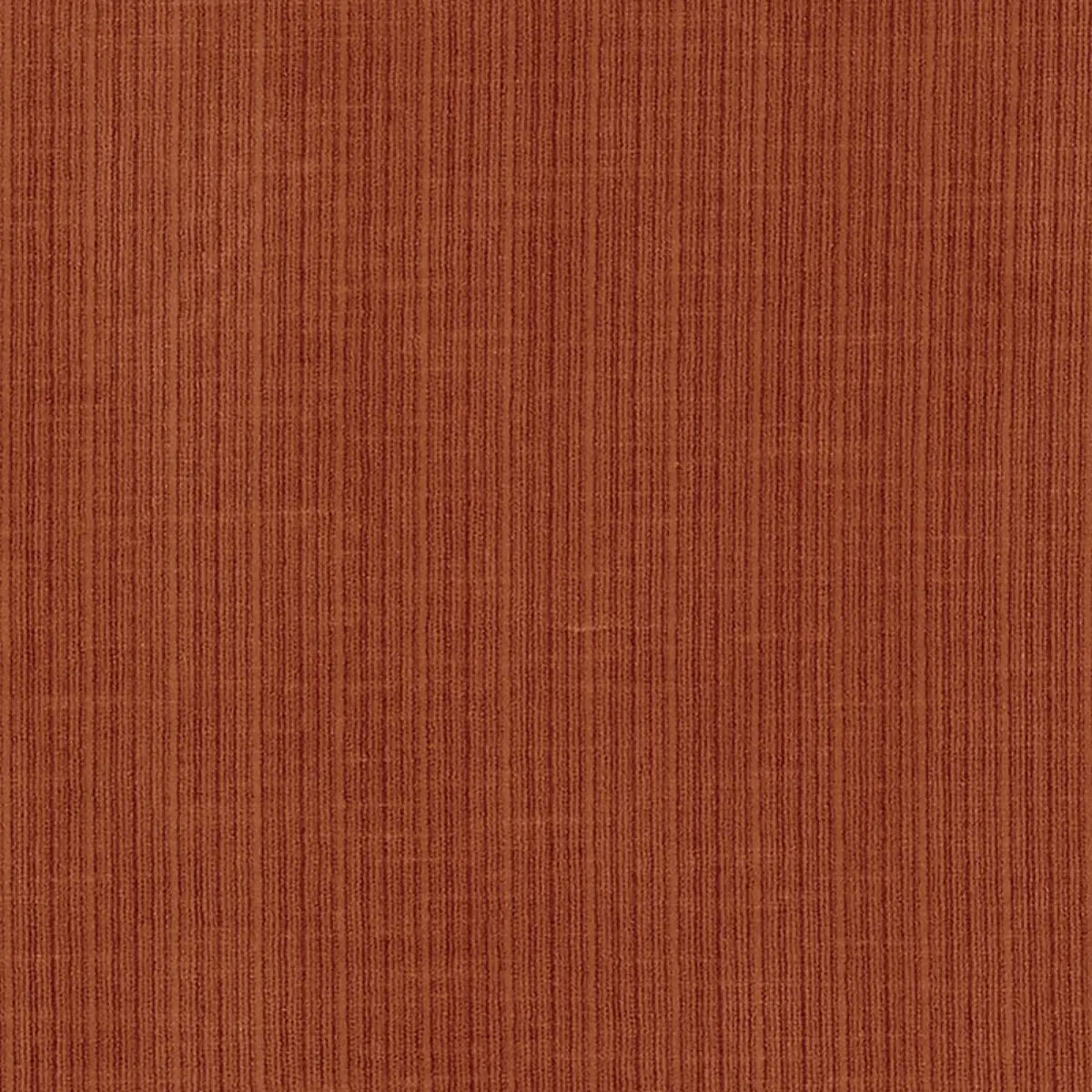 69772.webp