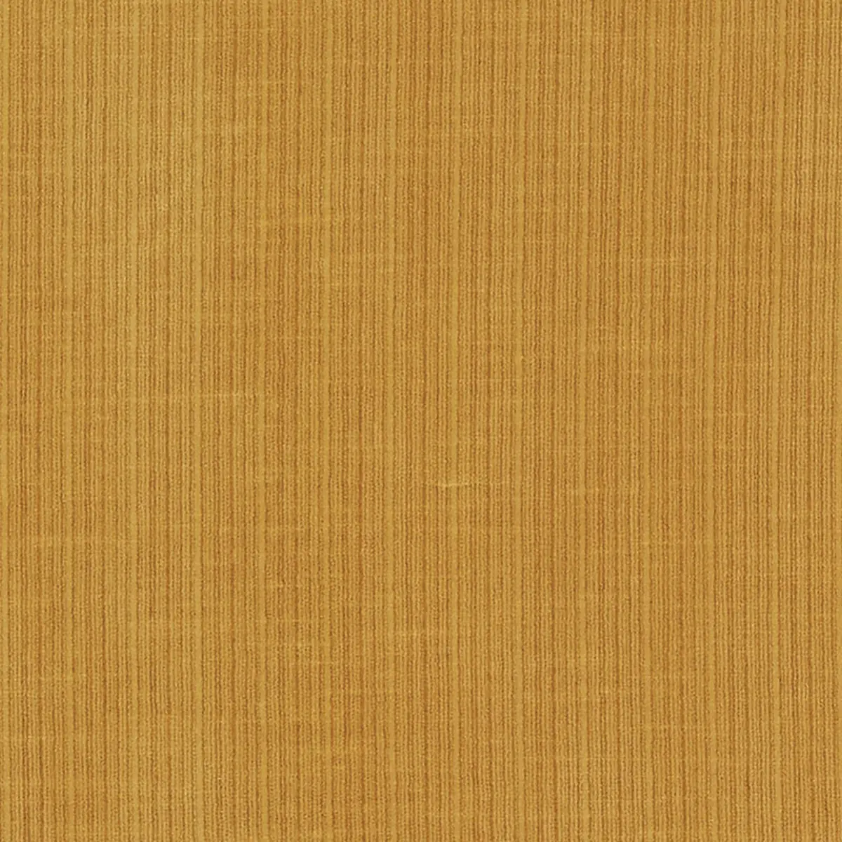 ANTIQUE STRIE VELVET_ GOLDENROD