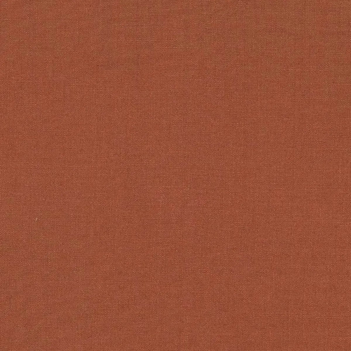 PIET PERFORMANCE LINEN_ GINGER
