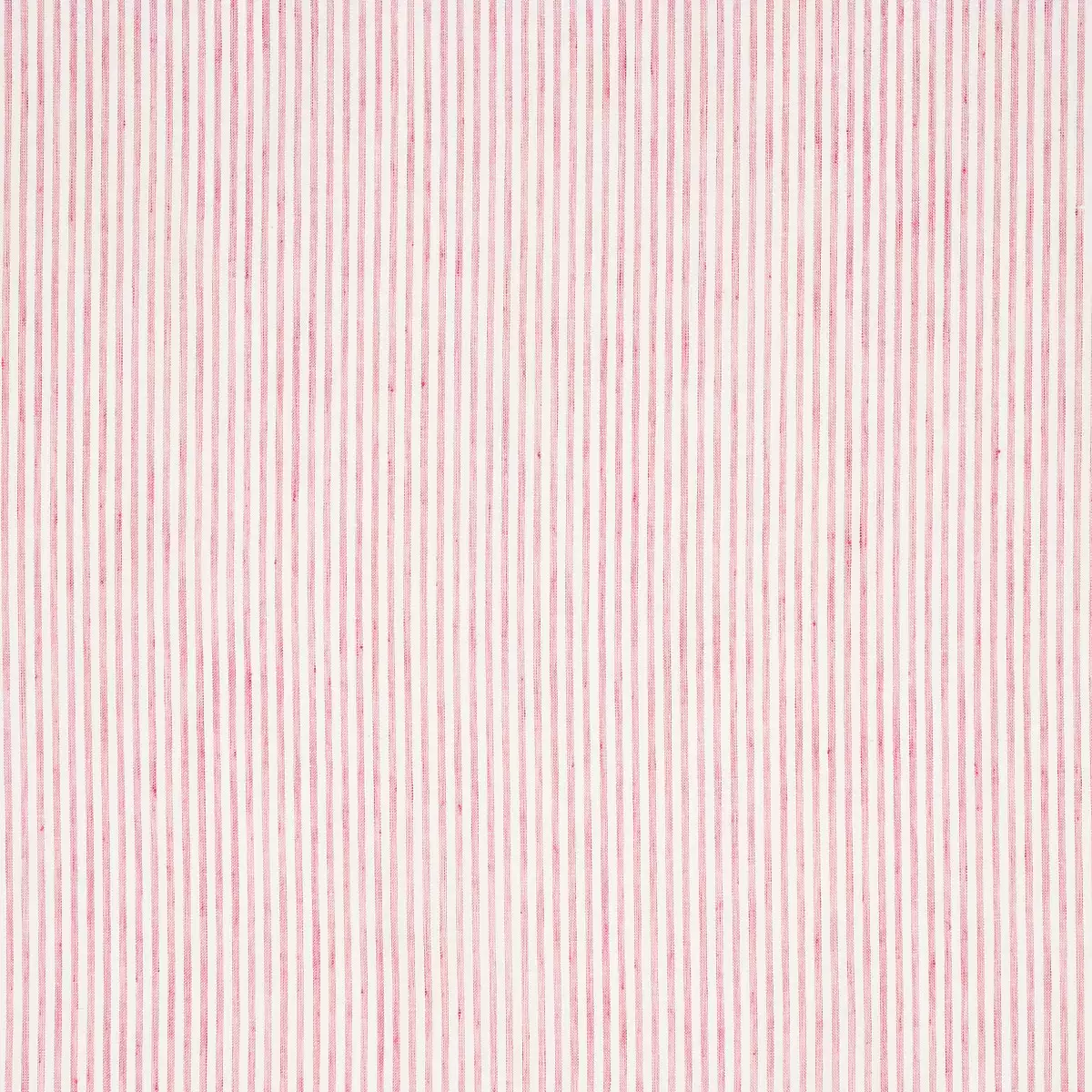 TORI STRIPE SHEER_ ROSE