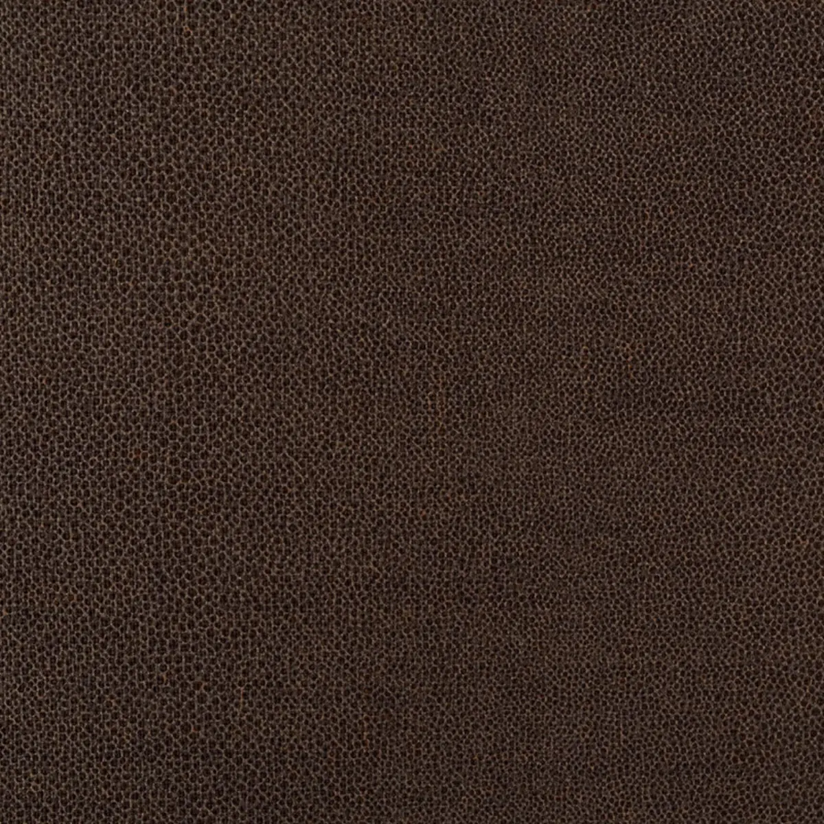GLOSS SHAGREEN_ SADDLE