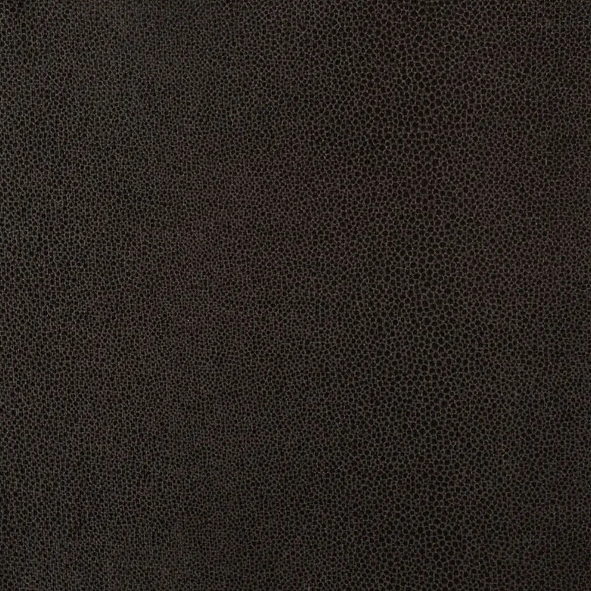 GLOSS SHAGREEN_ BARK