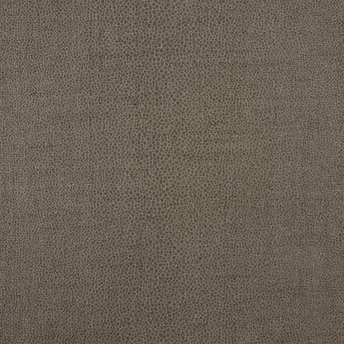 GLOSS SHAGREEN_ STONE