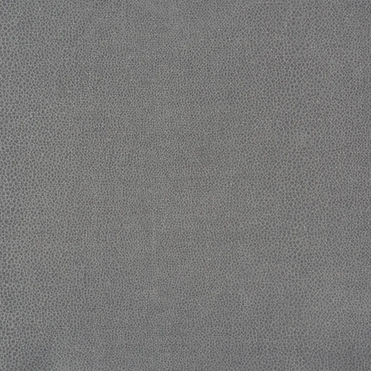 GLOSS SHAGREEN_ NICKEL