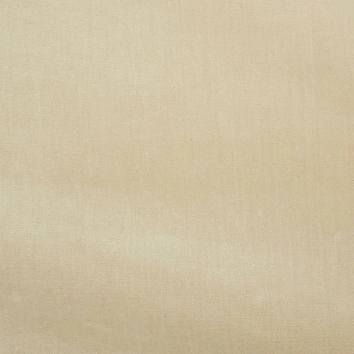 VENETIAN SILK VELVET_ PEARL