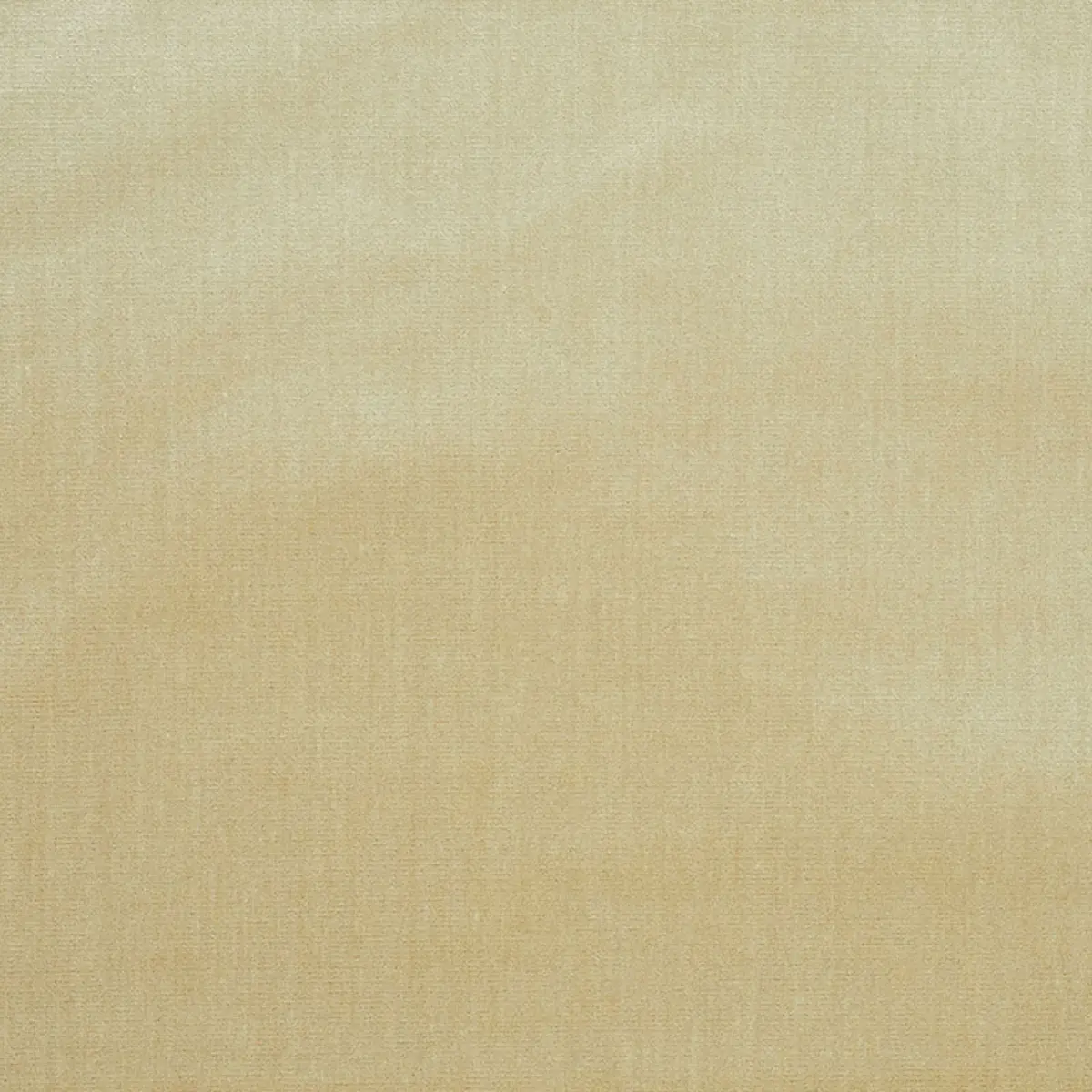 VENETIAN SILK VELVET_ OYSTER