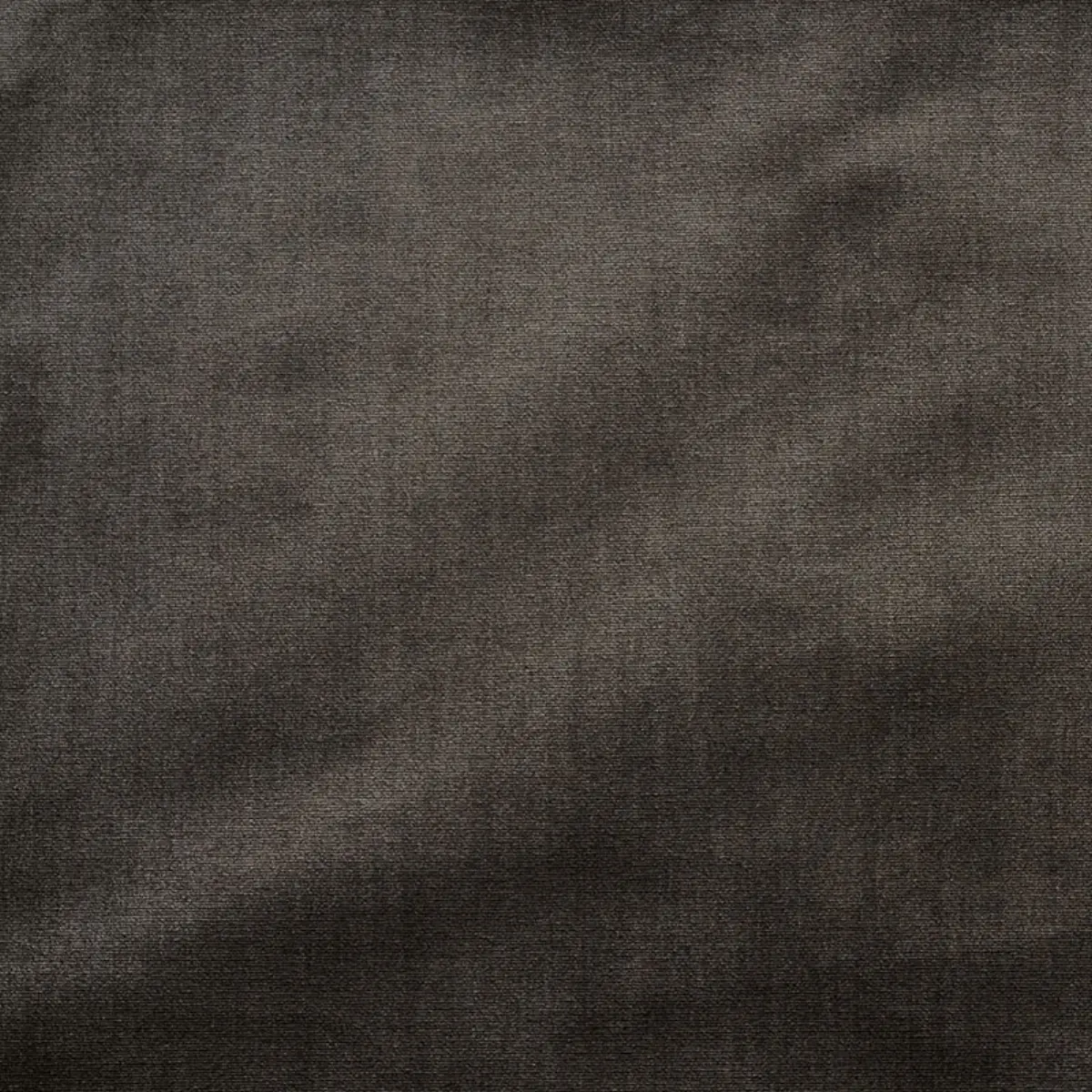 VENETIAN SILK VELVET_ FALCON