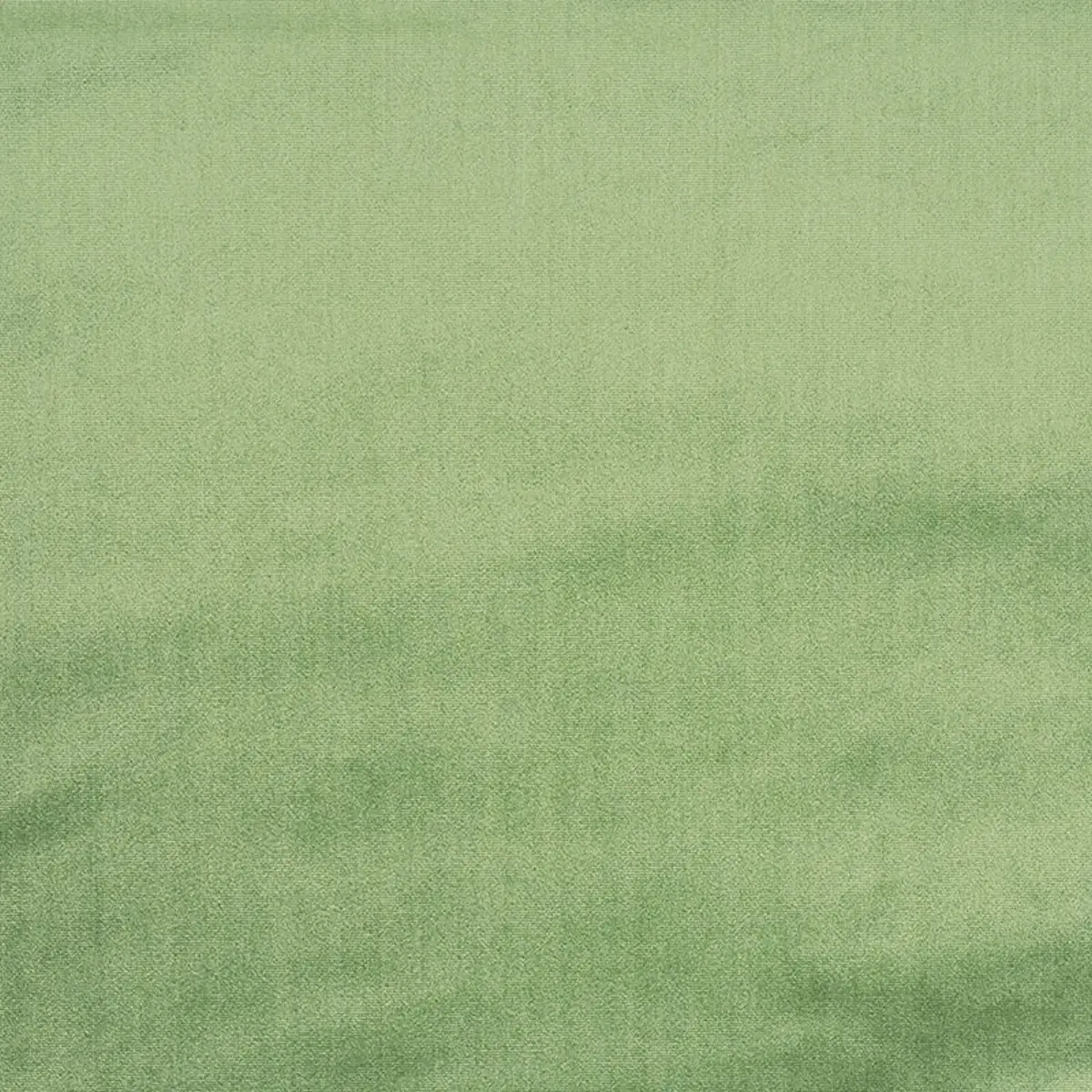 VENETIAN SILK VELVET_ ALOE