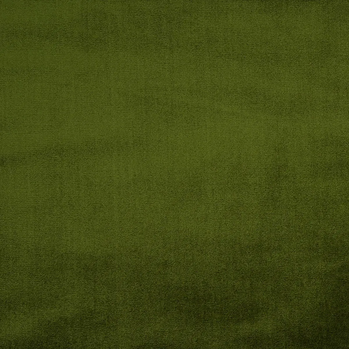 VENETIAN SILK VELVET_ MOSS