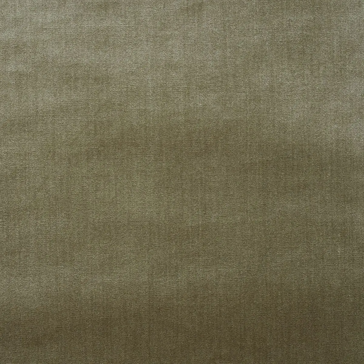 VENETIAN SILK VELVET_ LICHEN