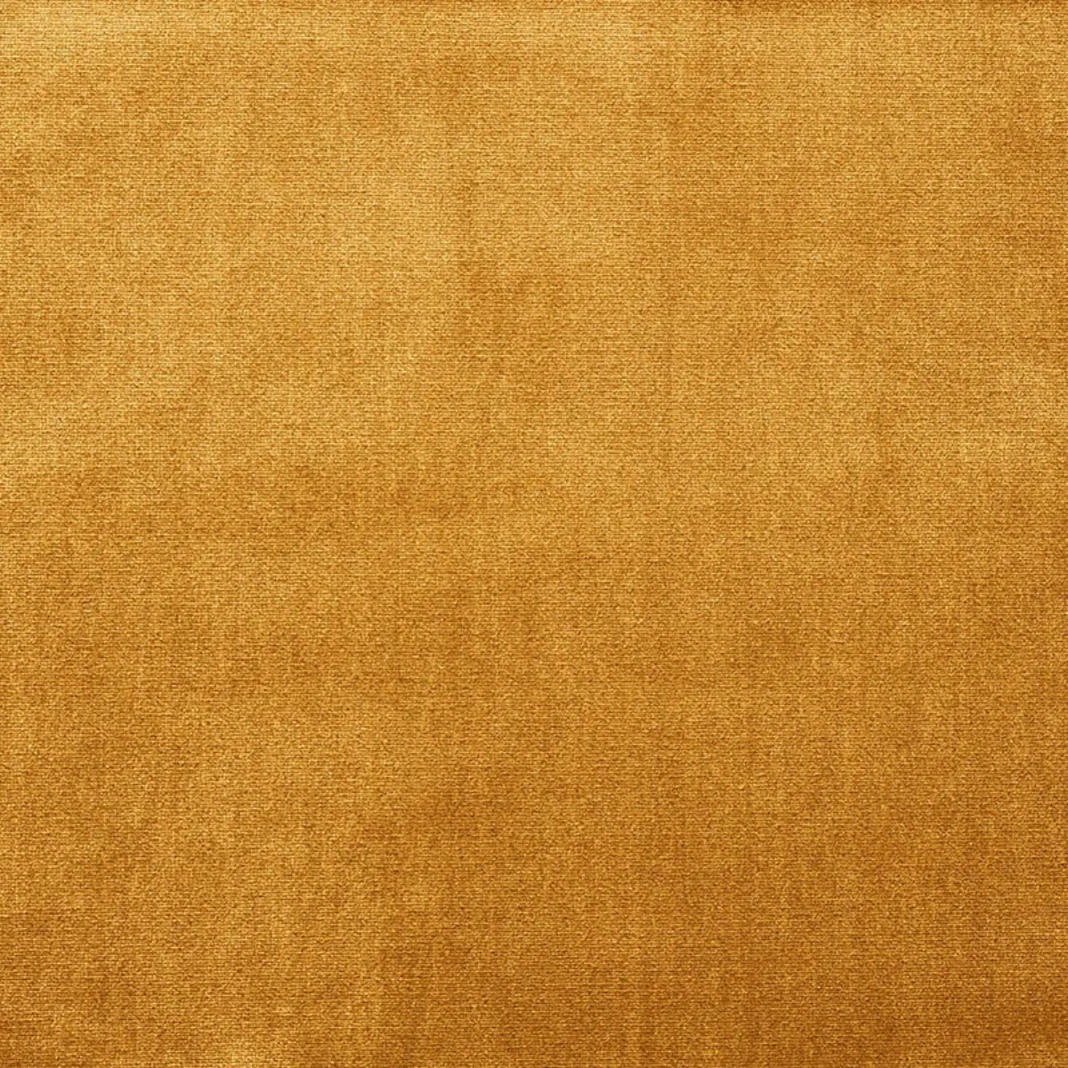VENETIAN SILK VELVET_ GOLD