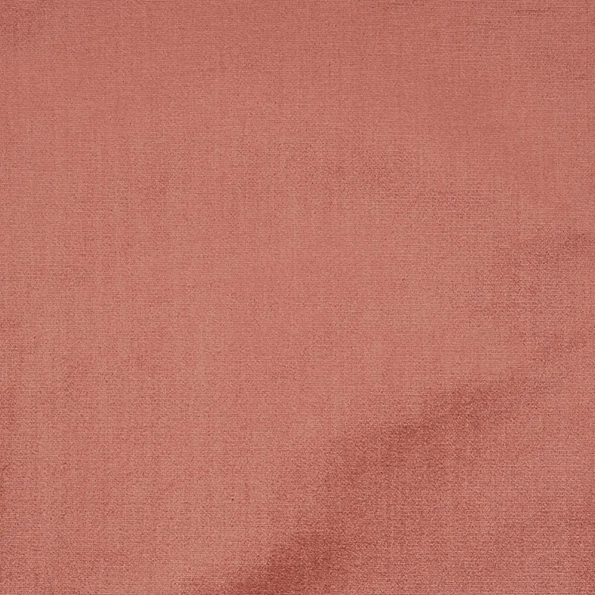 VENETIAN SILK VELVET_ CAMEO