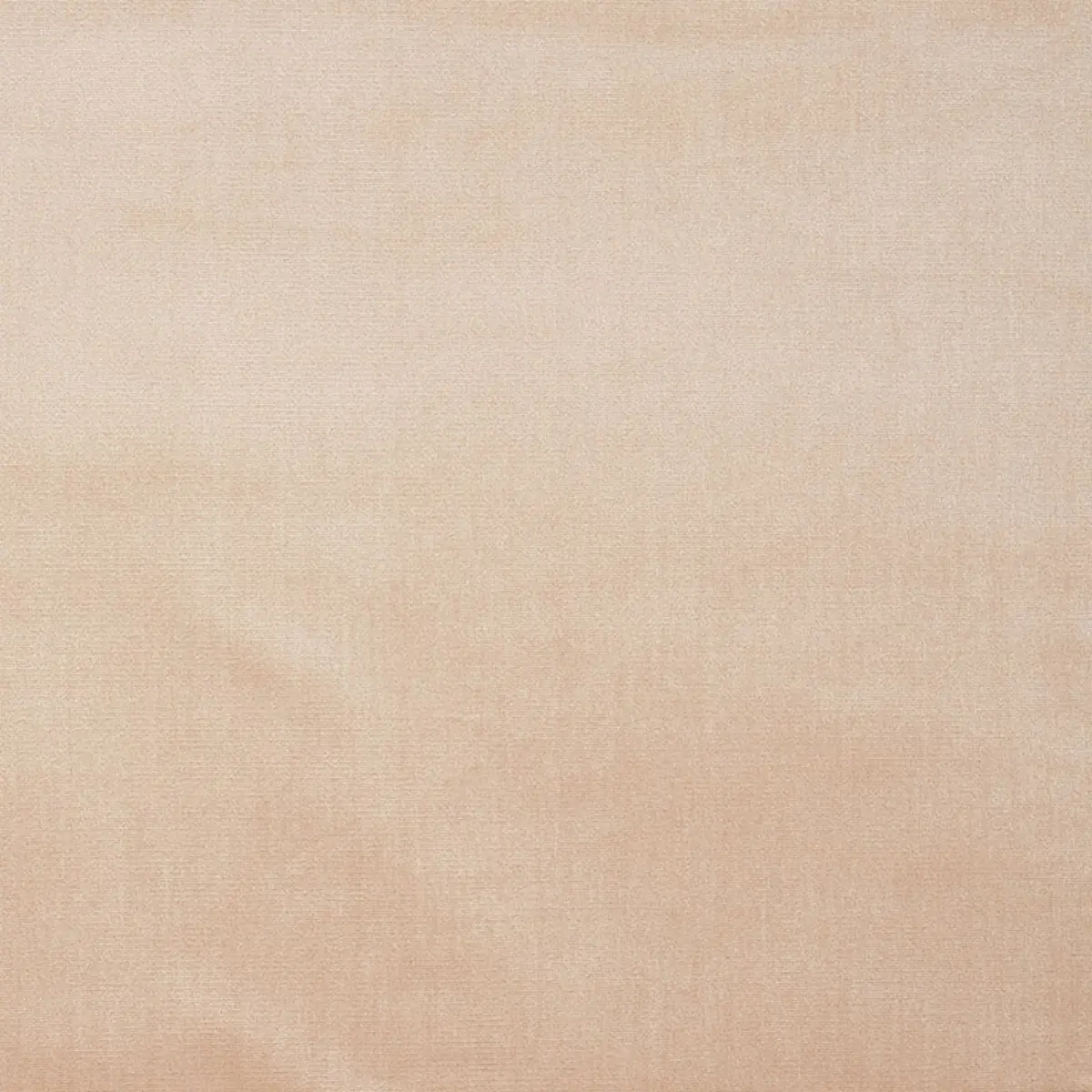 VENETIAN SILK VELVET_ PETAL