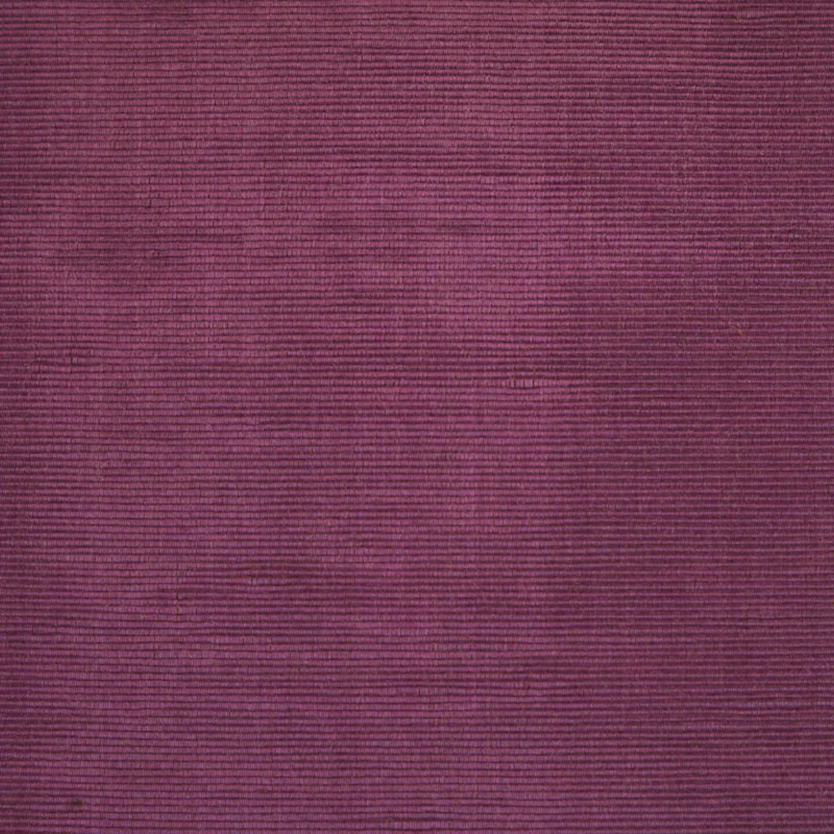 INCOMPARABLE MOIRÉ_ PLUM