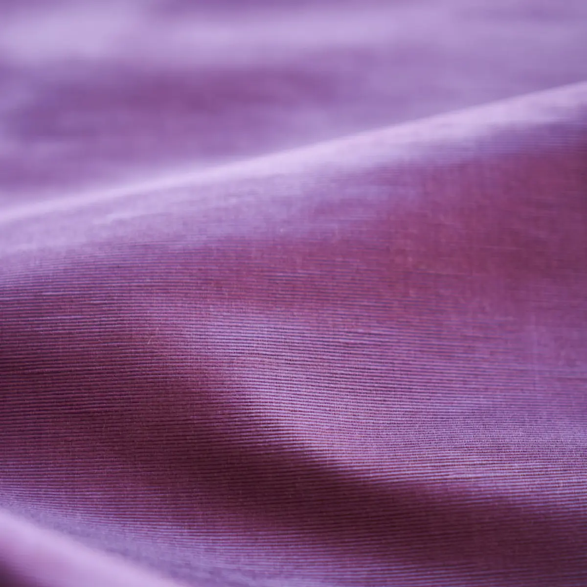 INCOMPARABLE MOIRÉ_ PLUM