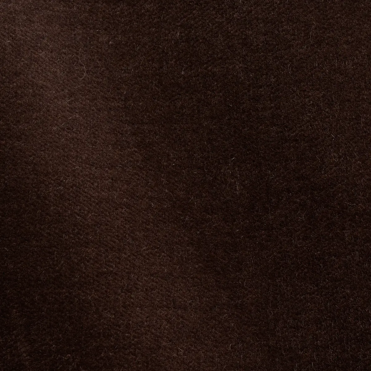 ROCKY PERFORMANCE VELVET_ ESPRESSO