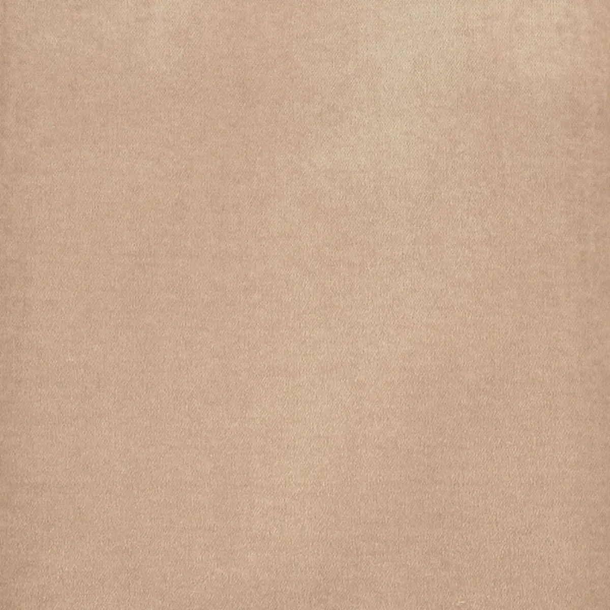 ROCKY PERFORMANCE VELVET_ LIGHT TAUPE