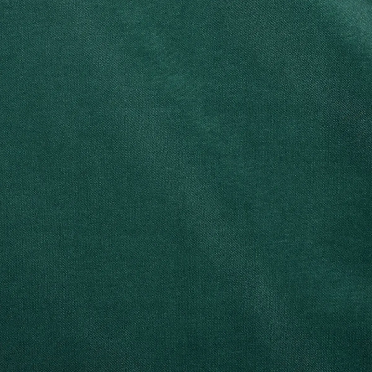 ROCKY PERFORMANCE VELVET_ TEAL