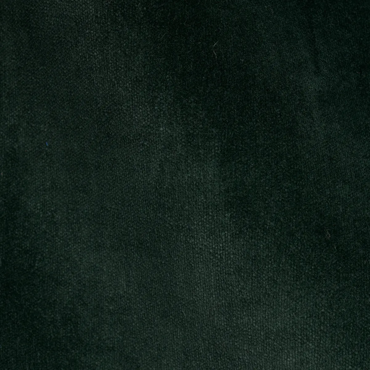 ROCKY PERFORMANCE VELVET_ PINE