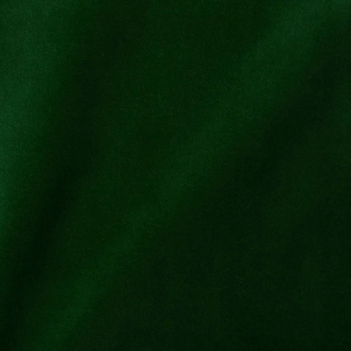 ROCKY PERFORMANCE VELVET_ EMERALD